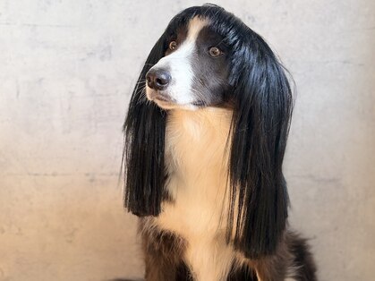 街の小さな美容室ビー(街の小さな美容室be.)の写真