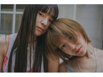 ウィット(wit)の写真