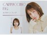 カプチーノフィグ【新色】