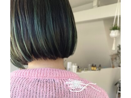 イトア(itoa)の写真
