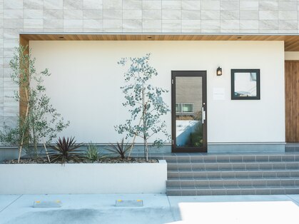 シロノハコ(SHIRO no HAKO)の写真