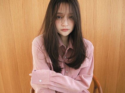 アスター(astar)の写真