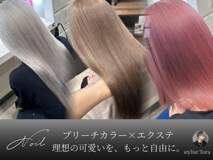 ノイル(Noil)の写真