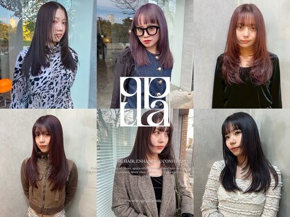 クプラ(Qpula)の写真