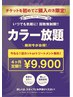 【新規ご購入の方】4ヶ月染め放題+カットorトリートメント付 ¥9900
