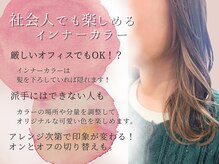 ヘア ケア ディエイチケー(HAIR CARE DHK)の雰囲気（ライフスタイルに合わせて入れる場所を選べるインナーカラー♪）