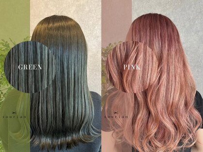 スリアン(sourian)の写真