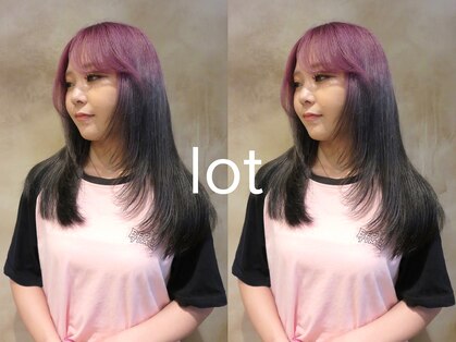 ロット(lot)の写真