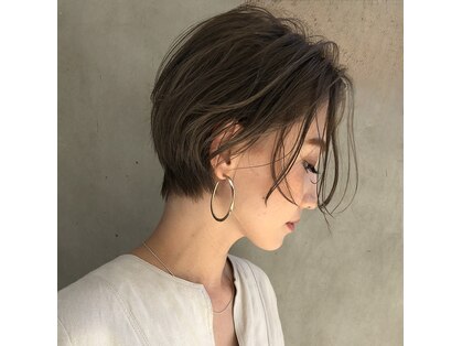 カート(Curt)の写真