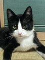 エンスー(ENTHU) 飼い猫「ベリー」こいつに引っかかれた傷跡が絶えません！