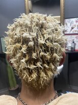 レグルス(REGULUS)&nbsp;イージードリル