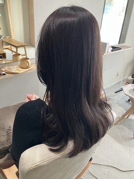 本と南風 guest design