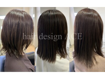 エース(ACE)の写真