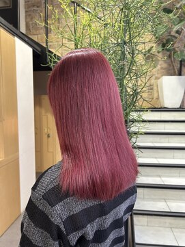 ゼスト 吉祥寺店(ZEST) 大人気チェリーレッド/吉祥寺/石橋