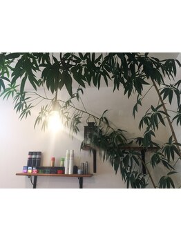 木のぬくもりと、緑が溢れる優しい空間。心安らげる空間で、あなただけの特別な時間をお過ごし下さい。