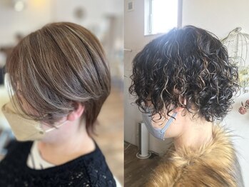 ブランシェ(blanche)の写真/骨格にあわせたレイヤーカットで“小顔魅せ”を叶えます☆再現性が高く、自宅でもサロン帰りの美しさを…