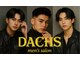 ダックス(DACHS)の写真