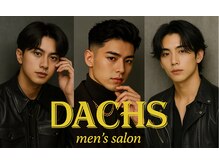 ダックス(DACHS)