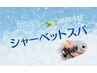 《暑い日におすすめ》カット＆シャーベット炭酸スパ＆トリートメント