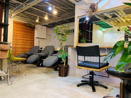 マグサロン 下北沢(mag salon)の写真