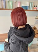 ミニボブ
