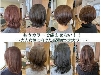シャイン(Shine)の写真