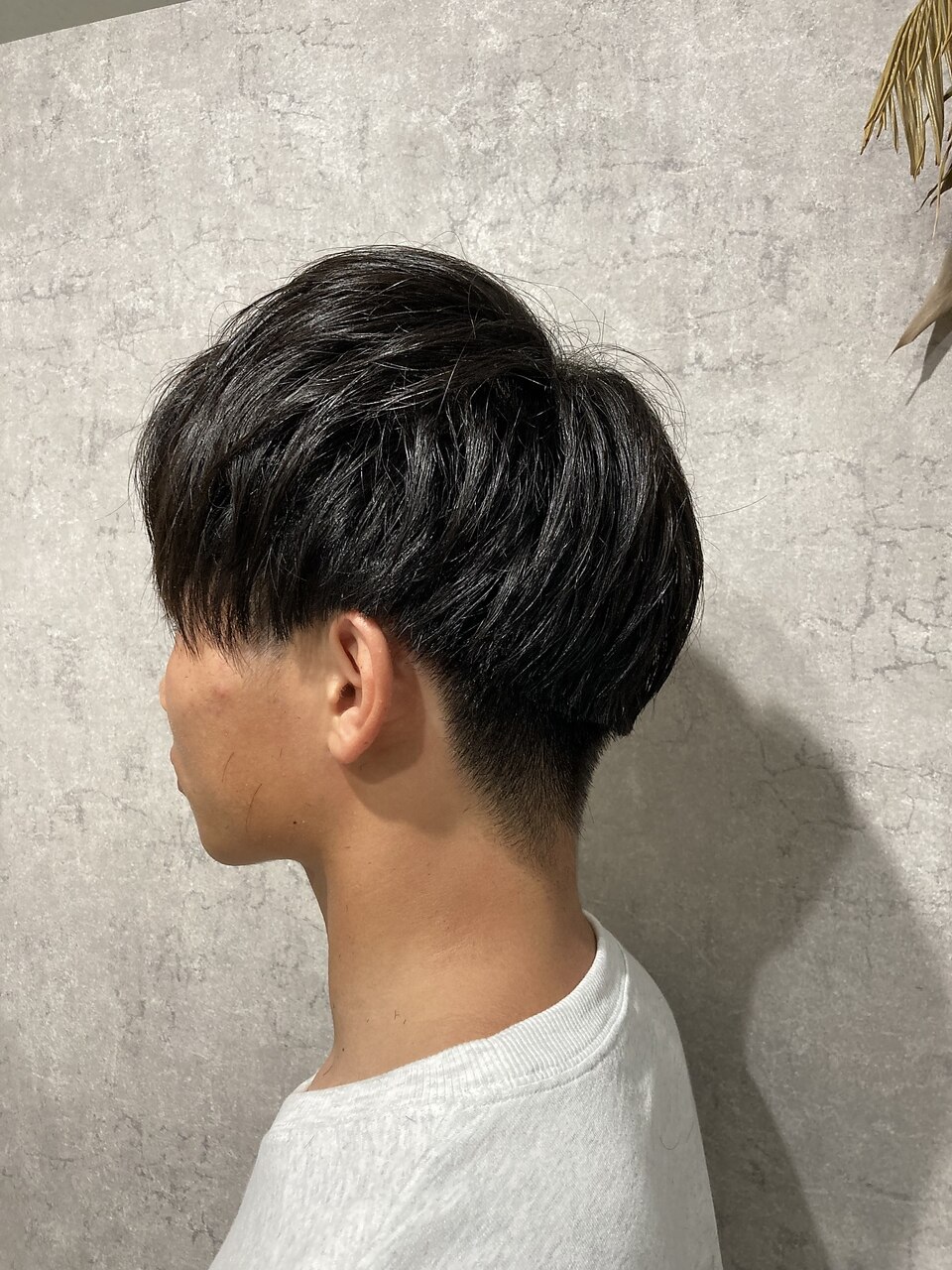 マッシュ様　コメット アブノーマル・マッシュウルフ✂︎ 髪色はいつも通り🥃 #ニート