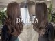 ダリア(DAHLIA)の写真