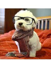 エボルブ(evolve)&nbsp;フ リー