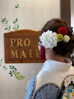 プロメール ヘアデザイン