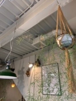 クレードル(cradle)の写真/店内はこだわりの家具や落ち着ける植物がいっぱいの空間。cradleでゆったり贅沢なサロンtimeを－。
