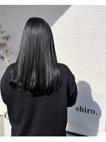 シロ(shiro.) うるつやネイビーブラック