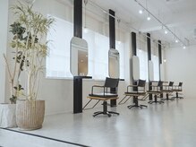 ダイアモンドリリーキートス(Diamond Lily kiitos)の雰囲気（柔らかい自然光が入り席の間隔が広々とした店内です。/一宮）
