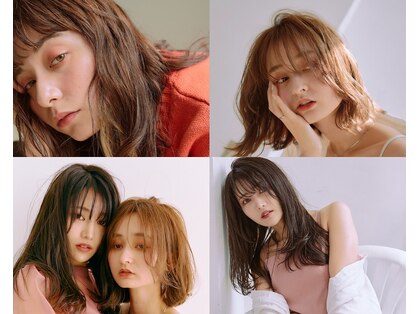 メノン(Menon)の写真