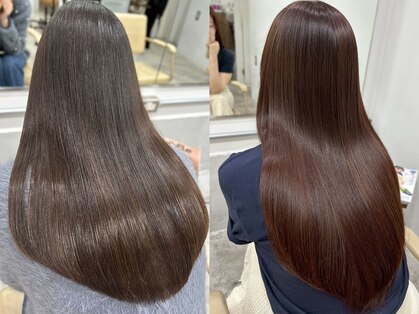 プラグ(Plug)の写真