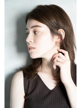 シェルベアー(Shell Bear) 【shellbear銀座】