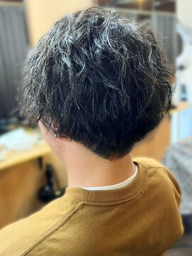 ヘアークリエイ トポライトウィロー 烏丸(Hair Create Polite willow) 20代30代30代メンズフェザーマッシュアッシュ好感度