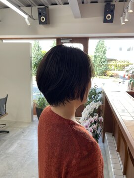 エディ(Hedi) ショートボブ