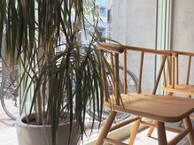 アース オーセンティック 三鷹店(EARTH Authentic)の雰囲気（明るい店内の美容院♪三鷹/武蔵境/吉祥寺からのアクセスも◎）