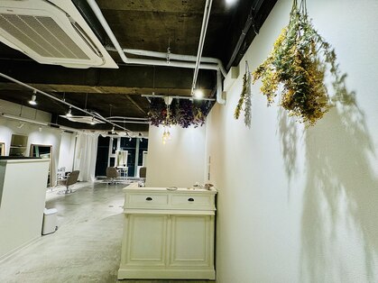 アネモネ 相模原店(Anemone)の写真