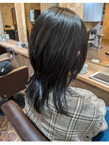 アンフィ 新杉田(Anphi)&nbsp;ロングウルフ