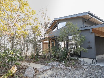 グーグー(goo goo)の写真