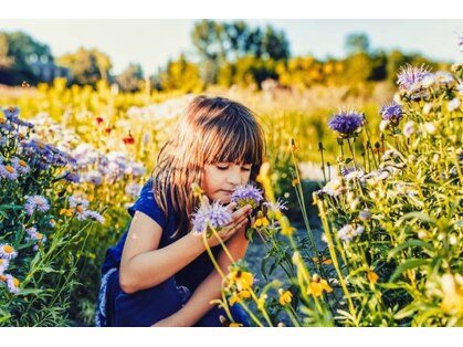 ボリューム(VOLUME)の写真