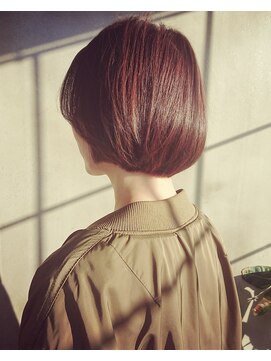 アンスリウム(anthurium) マッシュボブ