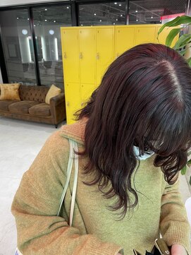 クラム(clam.) 暖色カラー