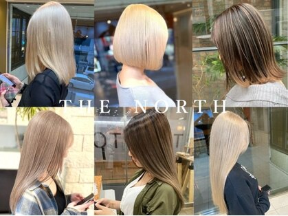 ノース(THE NORTH)の写真