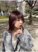 春っぽcolor