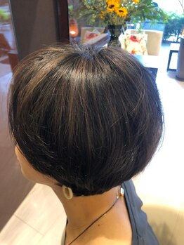 ディライト(DELIGHT)の写真/頭皮に優しいオーガニック商材を使用し、頭皮に負担少なくキレイに白髪カバー＊頭皮が弱い方にもおすすめ◎