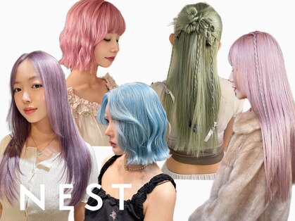 ネスト(NEST)の写真