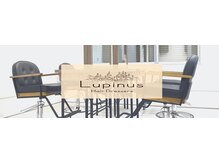 ルピナス 北千住(Lupinus)